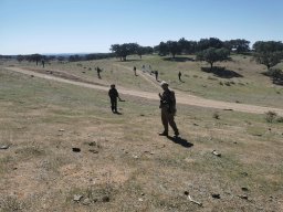 2023-09-29 SALAMANDRA II